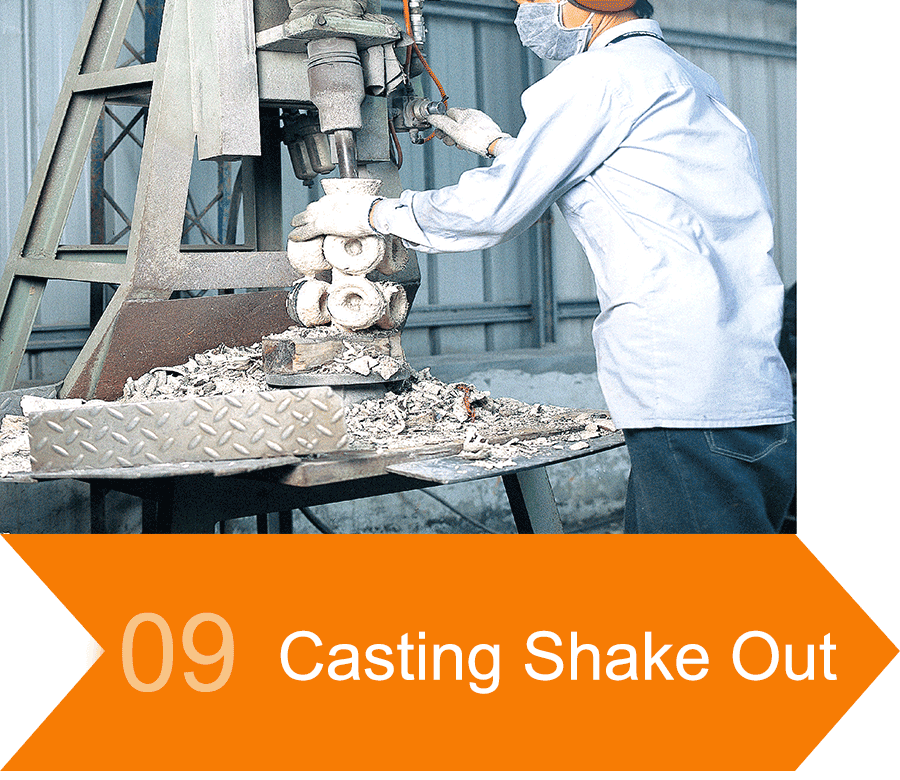 Casting Shake Out